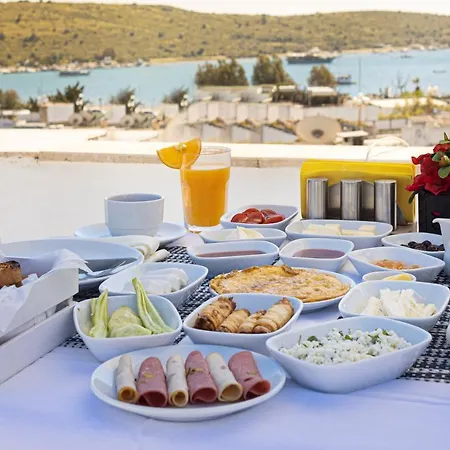 호텔 Hola Bodrum 5*