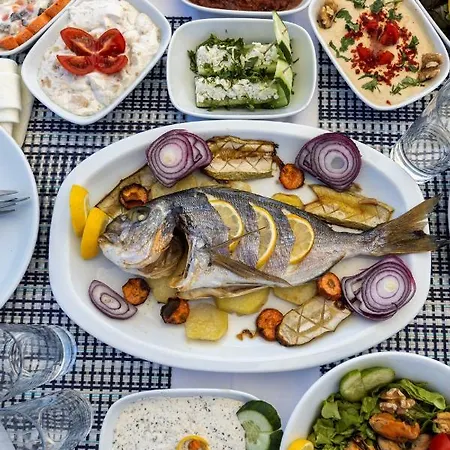 호텔 Hola Bodrum 5*