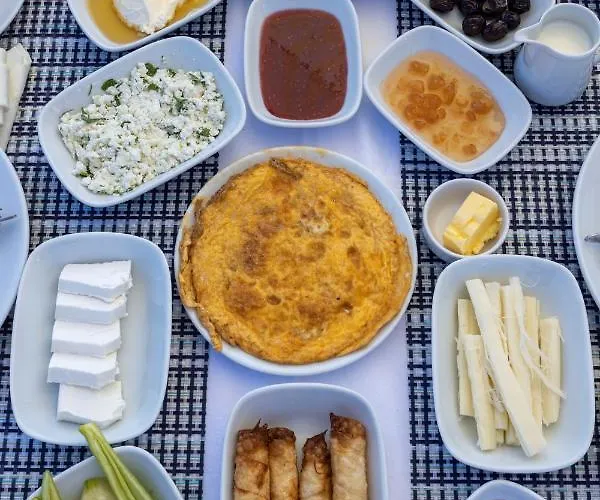 Hola Bodrum Muğla